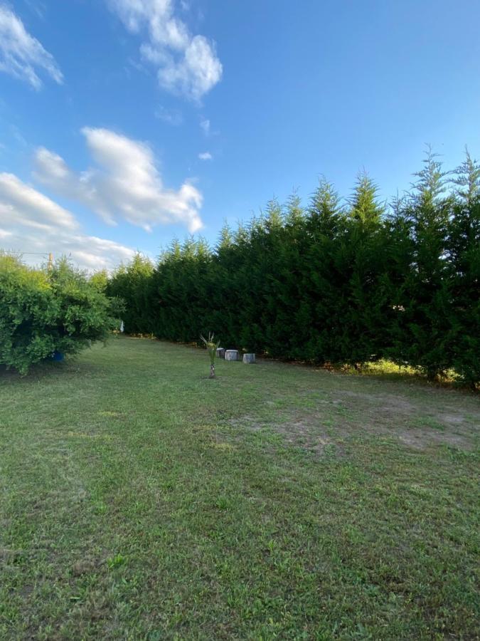 Au Paradis D'Alsace 55 M2 Nature & Relax Ingwiller Exterior foto
