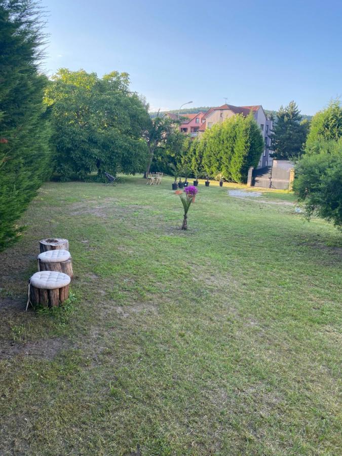 Au Paradis D'Alsace 55 M2 Nature & Relax Ingwiller Exterior foto