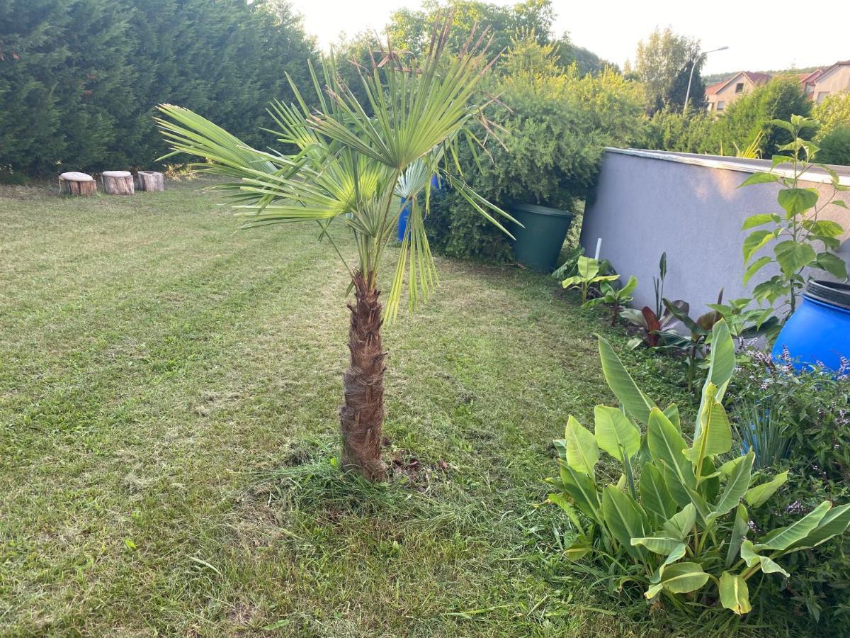 Au Paradis D'Alsace 55 M2 Nature & Relax Ingwiller Exterior foto