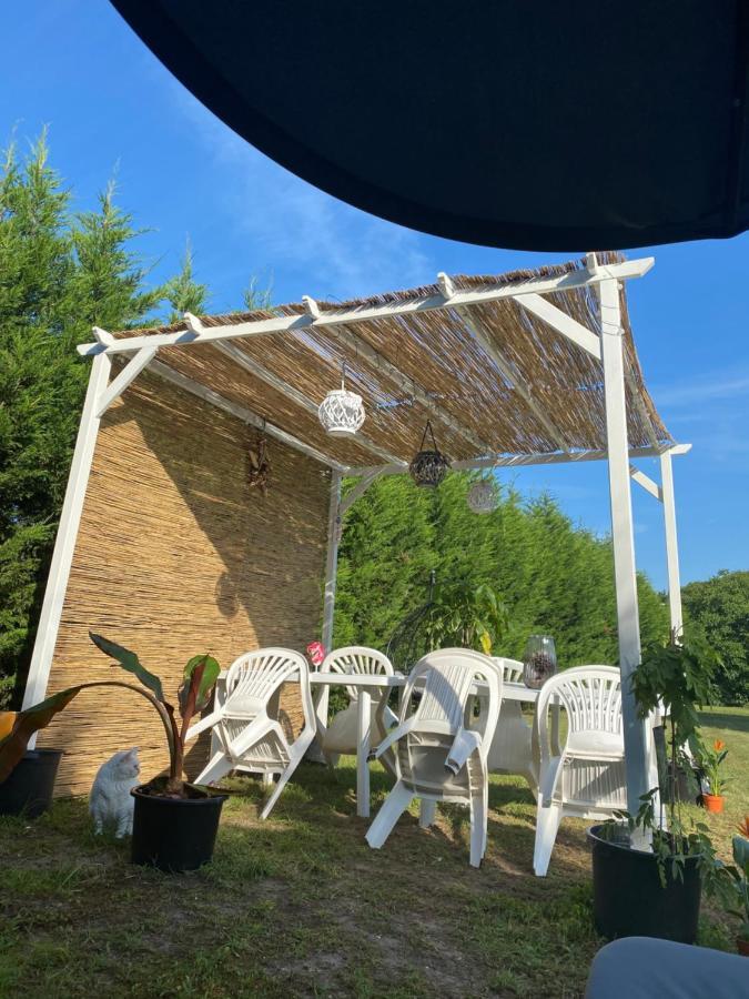 Au Paradis D'Alsace 55 M2 Nature & Relax Ingwiller Exterior foto