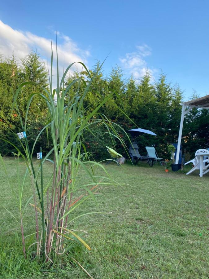 Au Paradis D'Alsace 55 M2 Nature & Relax Ingwiller Exterior foto