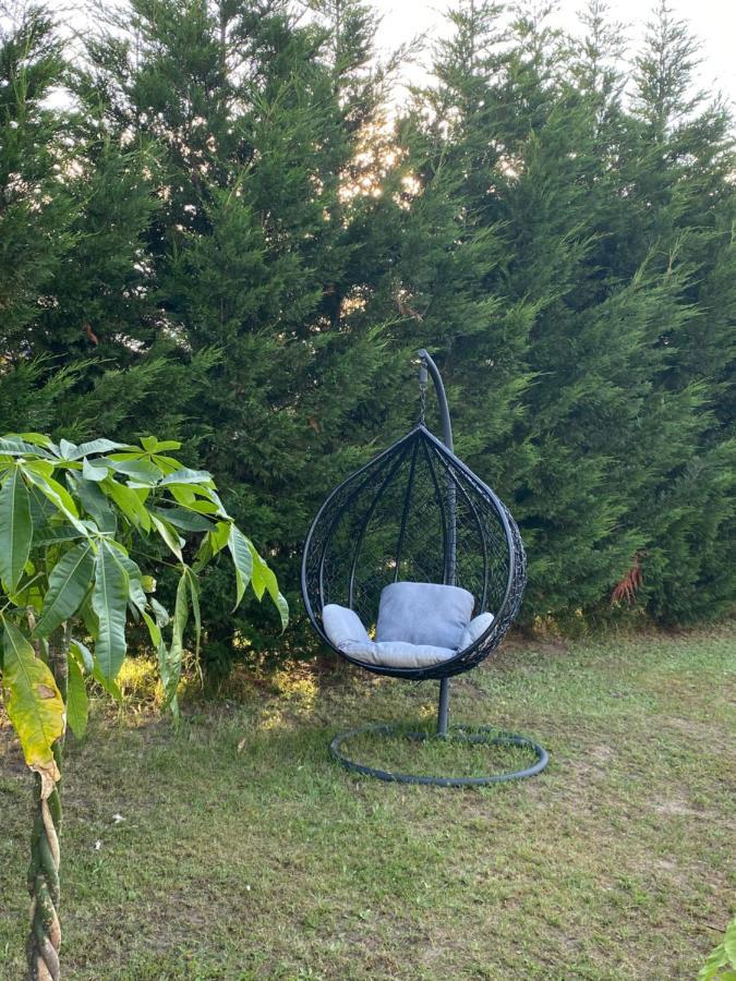 Au Paradis D'Alsace 55 M2 Nature & Relax Ingwiller Exterior foto